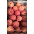 Hot Sale New Crop Fresh FUJI Apple From China High Quality